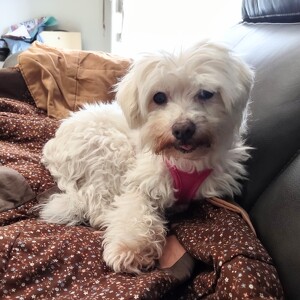 Fundraising Page: Christine Essay